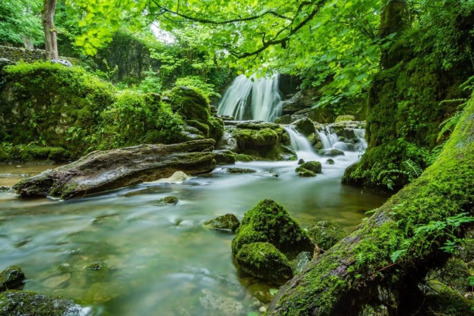 Weavers Rest - New Boutique Retreat In Central Skipton With Parking 0*,